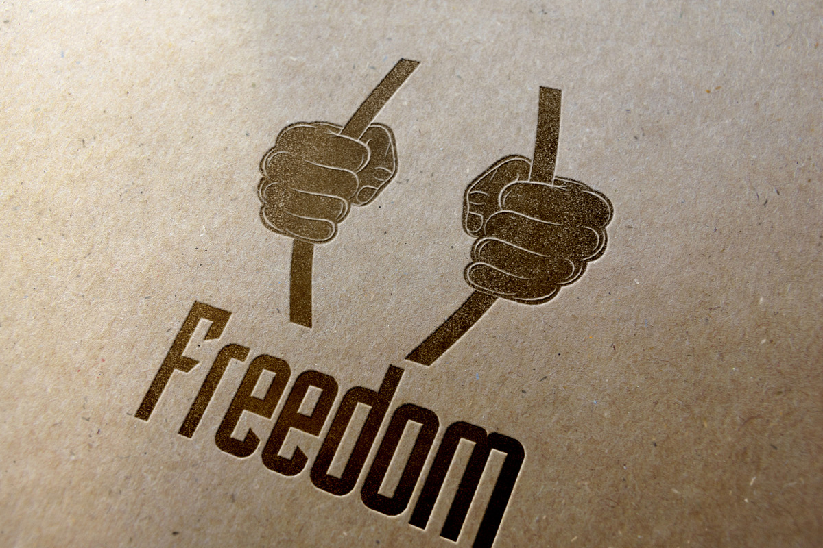 Freedom Logo, a Branding & Logo Template by conac.danbogdan (Photo 2 of 4)