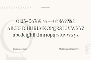Spectral Bridge - Modern Serif, a Serif Font by Namara Creative Studio (Thumbnail 10 of 14)