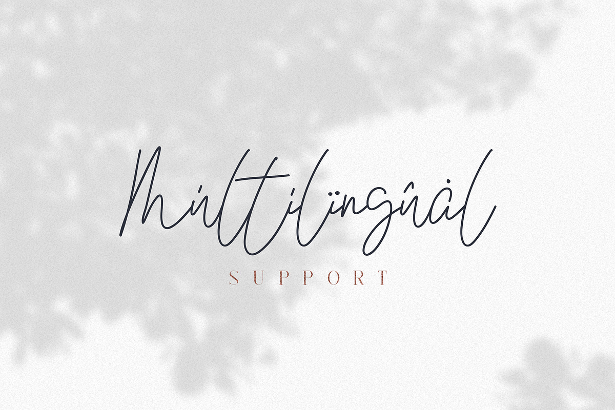 Kindel - Completed Collection, a Serif Font by VP Fonts (Photo 33 of 44)