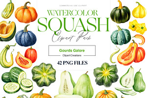 Watercolor Squash Clipart, Vegetable