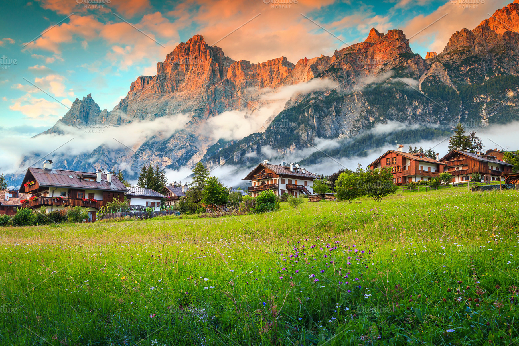 Spring alpine landscape with flowers, a Nature Photo by Alpine Dreams
