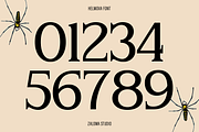 Helmova, a Serif Font by Zaloma Studio (Thumbnail 16 of 18)