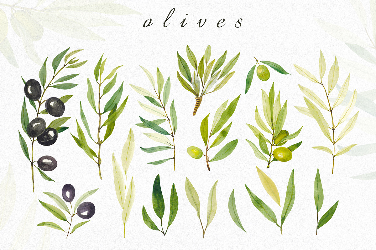 Olives. Watercolor collection, an Illustration by Kuzya's shop (Photo 3 of 8)