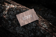 FORMAT EDEN BUSINESSCARD 07, a Product Mockup by Format Mockups (Thumbnail 1 of 3)