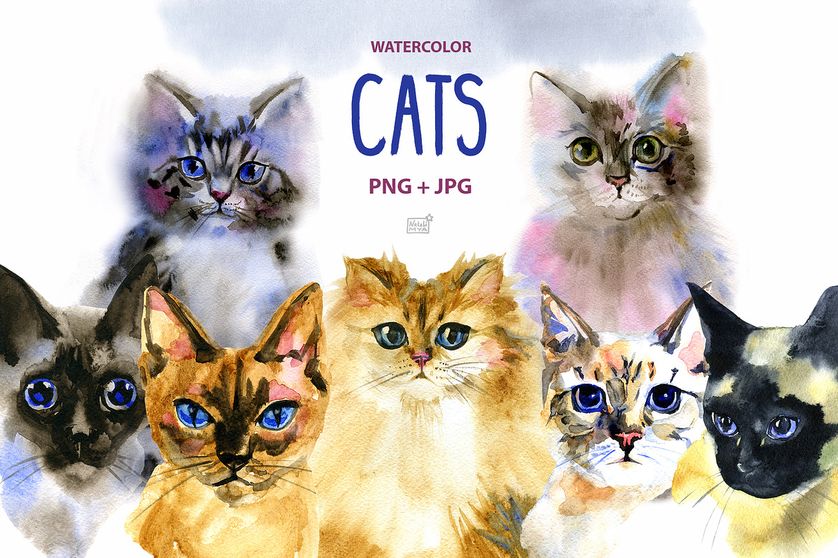 Watercolor cats clipart, an Animal Illustration by NataliMiasStore (Photo 1 of 6)