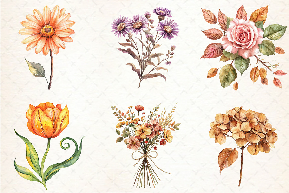 Watercolor Fall Flower Clipart, an Illustration by Libby Wishes (Photo 2 of 7)