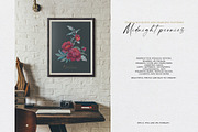 Dark red peonies, an Illustration by Vasmila (Thumbnail 2 of 10)