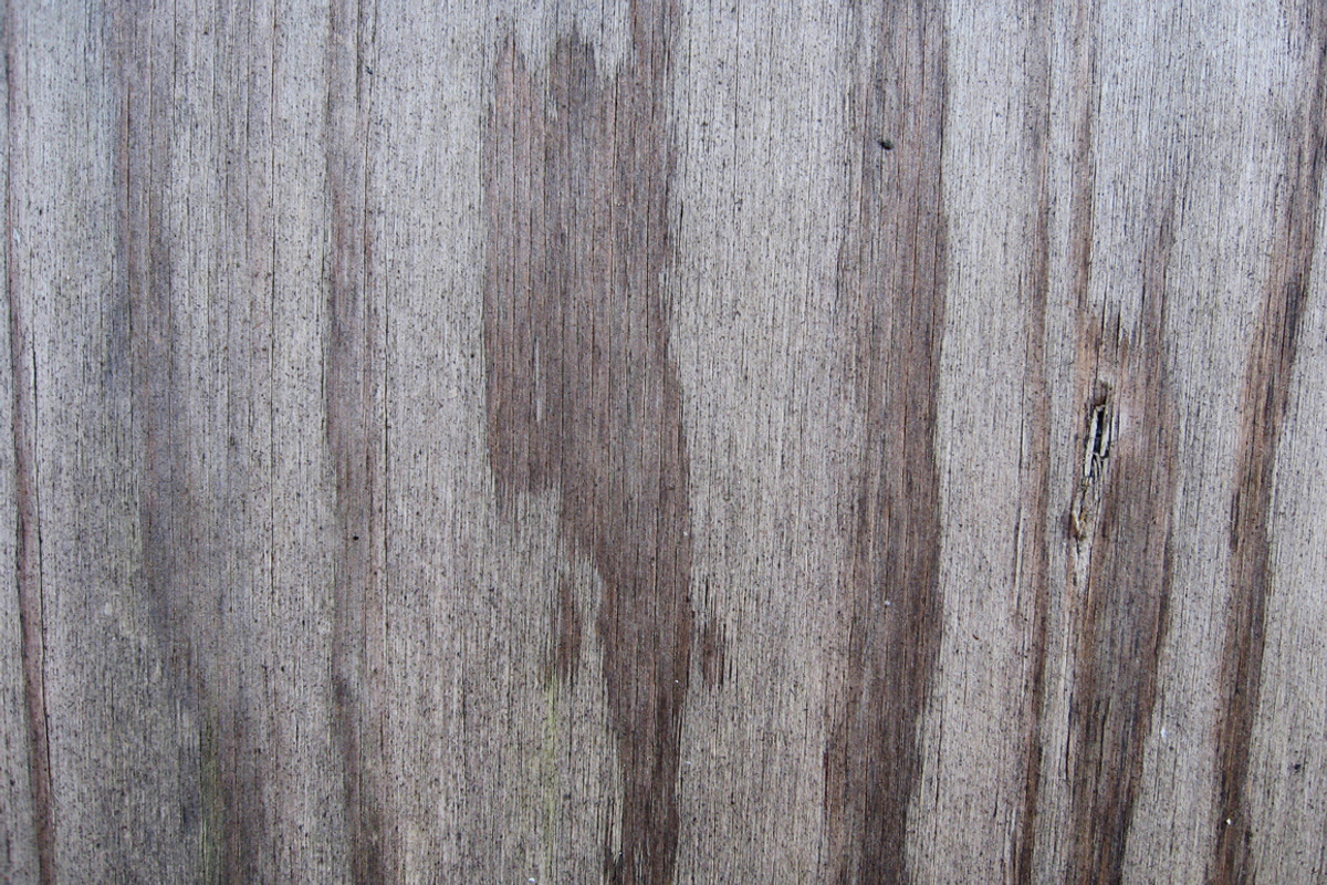 SALE - Plywood Texture Pack, a Texture Graphic by RM Photos and Art (Photo 4 of 4)