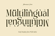 Fibonacci | Serif With Italic Font, a Serif Font by The_Type (Thumbnail 12 of 12)