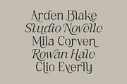 Ardellea, a Serif Font by din-studio.com (Thumbnail 14 of 16)