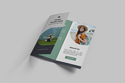 Trifold Brochure Mockup, a Brochure Template by graphictime (Thumbnail 4 of 11)