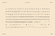 TBJ Black Gold 2-Styles Serif, a Serif Font by Taboja Studio (Thumbnail 15 of 15)