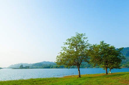 Trees on the lawn containing tree, lawn, and mountain, a Nature Photo by a454