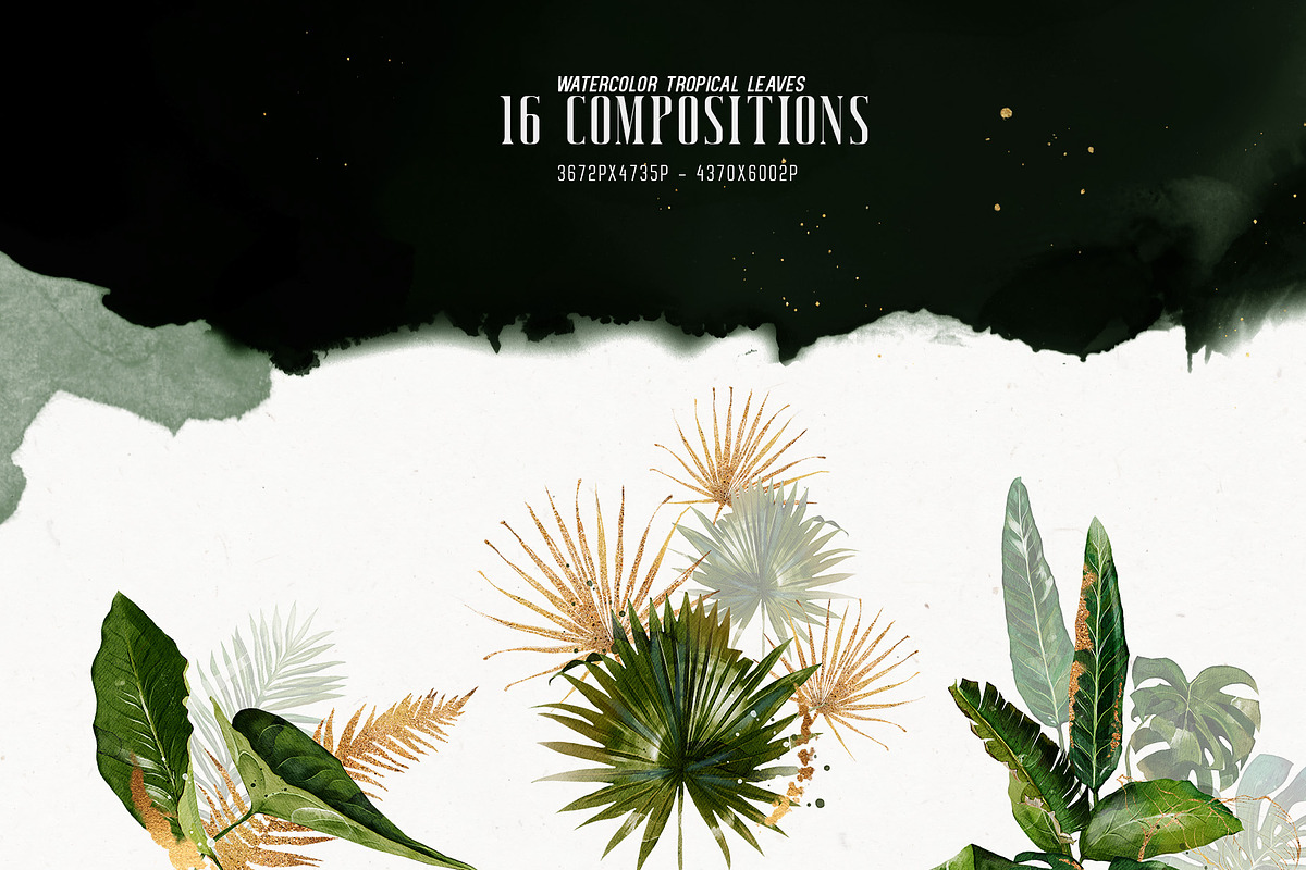 Watercolor Tropical Leaves, a Decorative Illustration by Damian Roh (Photo 6 of 19)