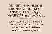 Mogilte Modern Ligature Serif, a Script Font by Storytype Studio (Thumbnail 14 of 15)