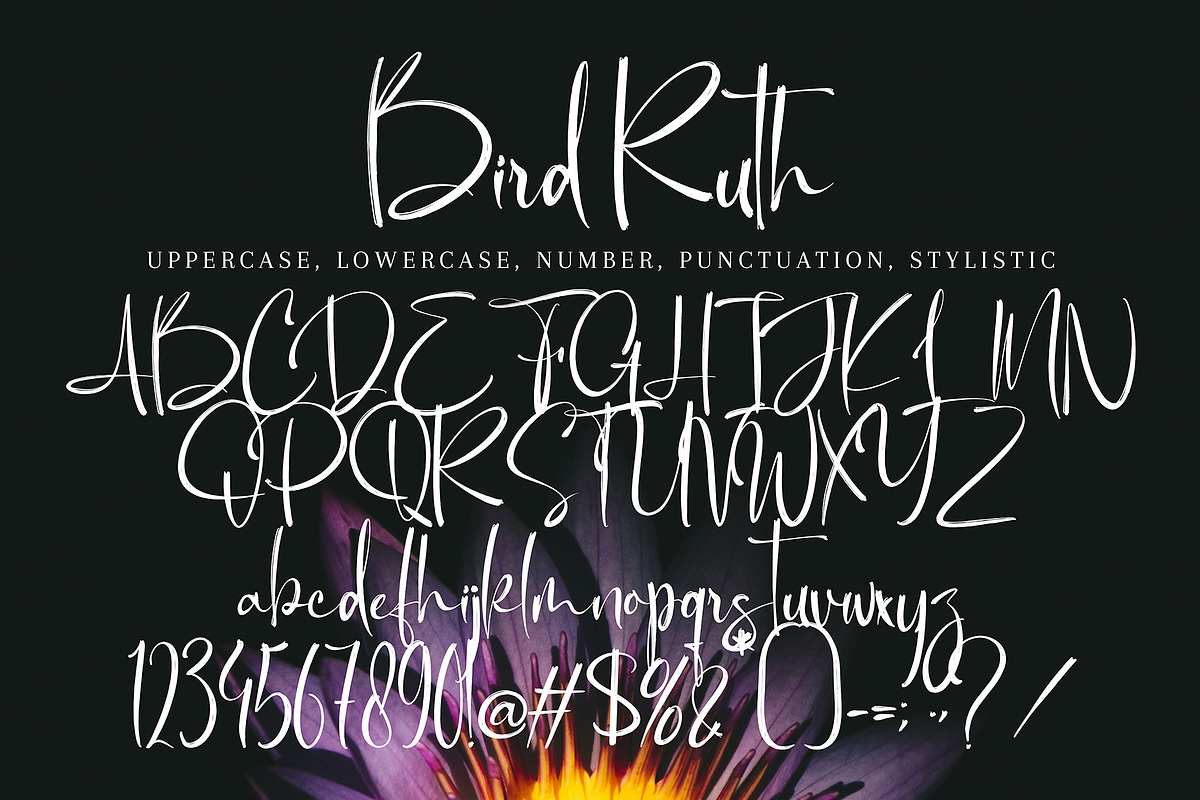 Bird Ruth, a Handwritten Font by pineungtype (Photo 6 of 6)