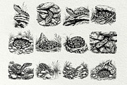 Snake Illustration Set, an Animal Illustration by DENIDigitalArtSudio (Thumbnail 6 of 8)