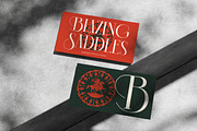 Chazero Modern Alternate Serif, a Serif Font by timelesstype.co (Thumbnail 9 of 20)