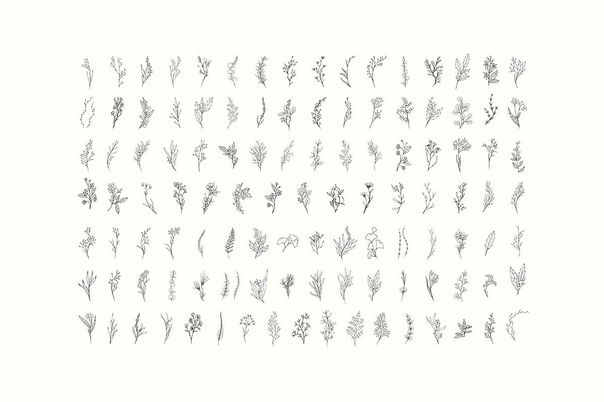 Winter Foliage collection, a Decorative Illustration by Merfin (Photo 5 of 14)