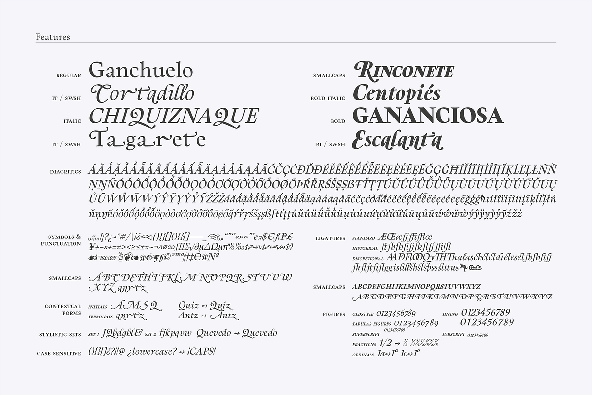 Berganza Font, a Serif Font by Cuchi, qué Tipo! Foundry (Photo 9 of 10)