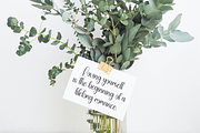Sublimation | Script Font, a Handwritten Font by Scratchones (Thumbnail 3 of 9)