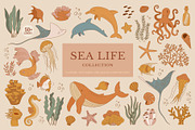 Sea Life Collection, an Animal Illustration by Nadezhda Mikhailova (Thumbnail 1 of 18)