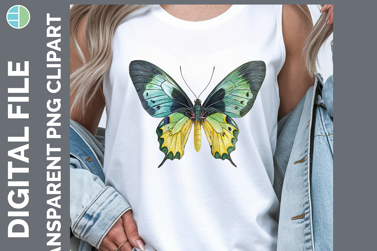 Butterfly Illustration Bundle 25 PNG, an Animal Illustration by Enliven Designs (Photo 6 of 8)