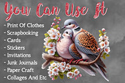 Watercolor Romantic Dove clipart PNG, a Seasonal Illustration by Craft Nest (Thumbnail 5 of 5)