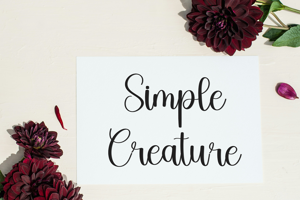 Winter Sunday, a Handwritten Font by FreshTypeINK (Photo 2 of 8)