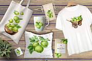 Amber Gooseberry. Watercolor set, a Food Illustration by Daria Ustiugova (Thumbnail 2 of 23)