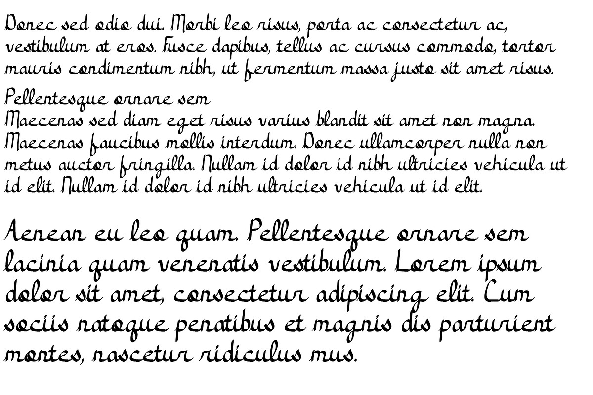 Font Go Boldly Bold Cursive Script, a Script Font by PageLightStudios (Photo 3 of 4)
