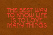 MARALO Typeface, a Serif Font by Few & Fahr Studio (Thumbnail 7 of 7)