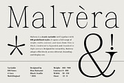 Malvera, a Serif Font by Black Studio (Thumbnail 16 of 16)