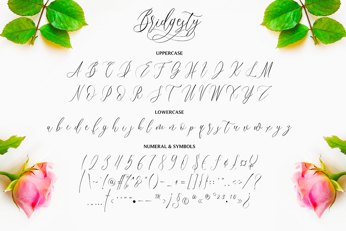 Bridgesty - Lovely Calligraphy Font, a Script Font by Motokiwo (Photo 10 of 10)