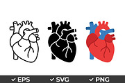 Anatomical Heart Vector Set, an Object Graphic by Artonix (Thumbnail 1 of 3)