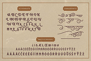 Hamston Display Vintage, a Sans Serif Font by Creatype Studio (Thumbnail 9 of 10)