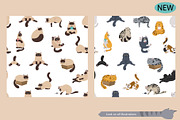 Cartoon cats clipart set, an Animal Illustration by pet design shop (Thumbnail 8 of 12)