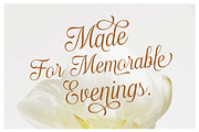 Haydenta - Calligraphic Script, a Script Font by Novitype (Thumbnail 6 of 12)
