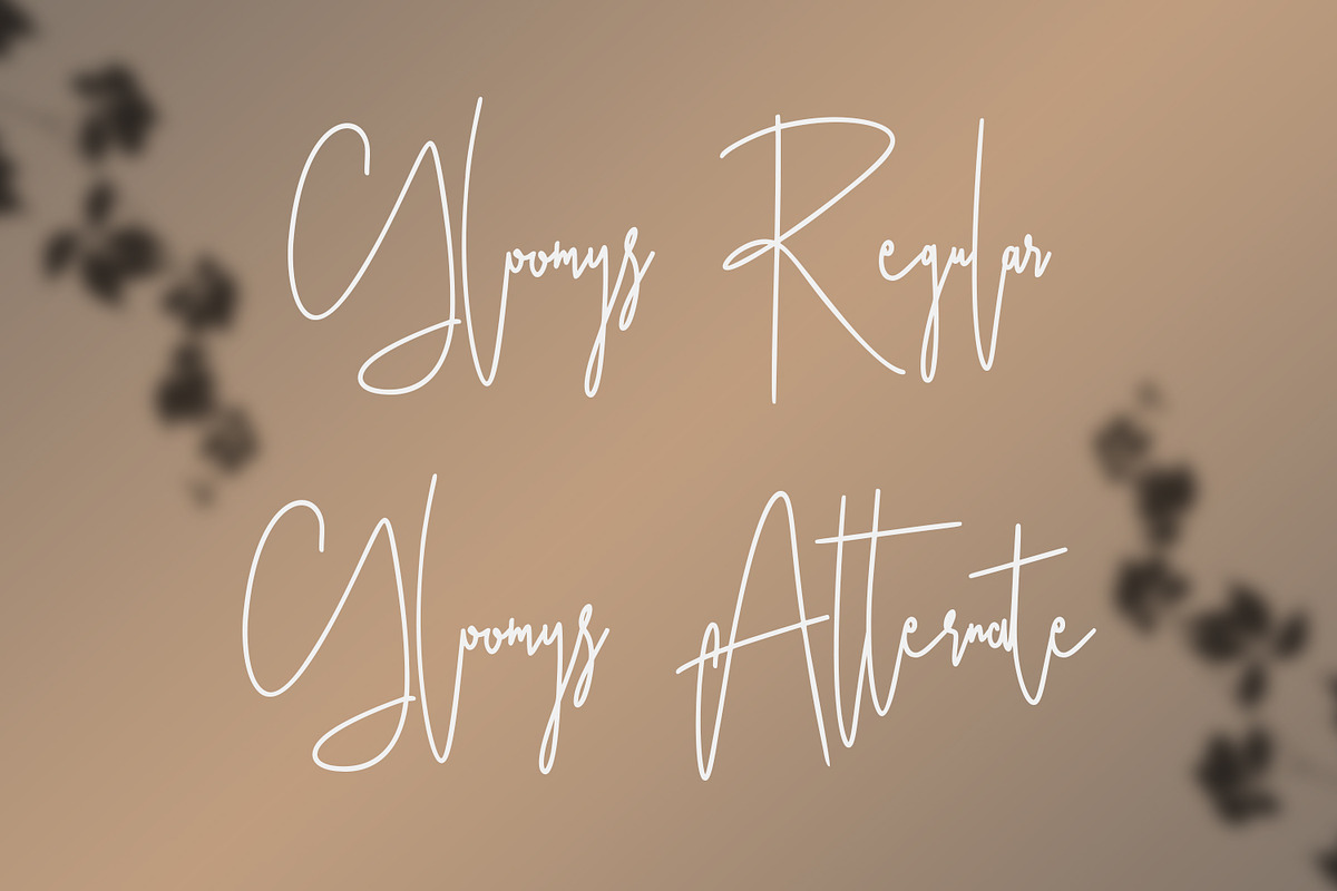 Ameriondela Luxury Classy Font, a Script Font by Maulana Creative (Photo 4 of 11)