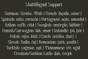 Maerulin – Serif Font, a Serif Font by NDNL Studio (Thumbnail 8 of 13)