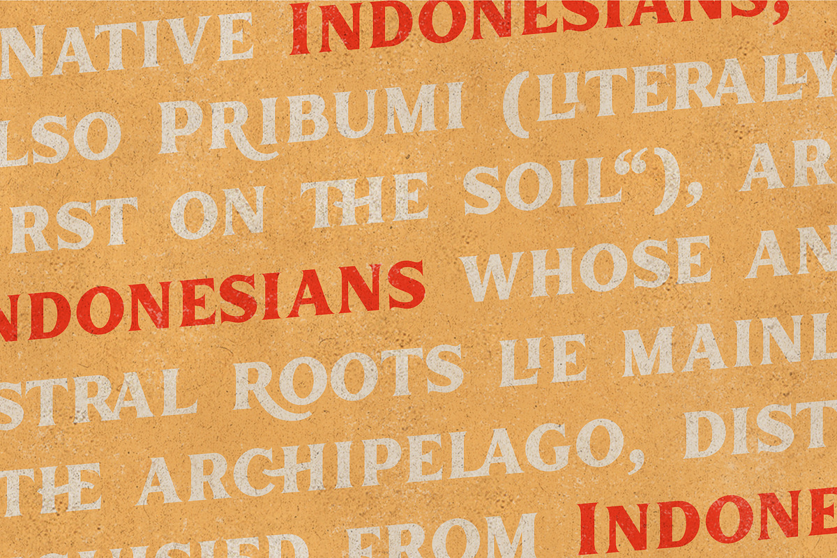 Inlander - Retro Display Font, a Serif Font by Edignwn Type (Photo 9 of 12)