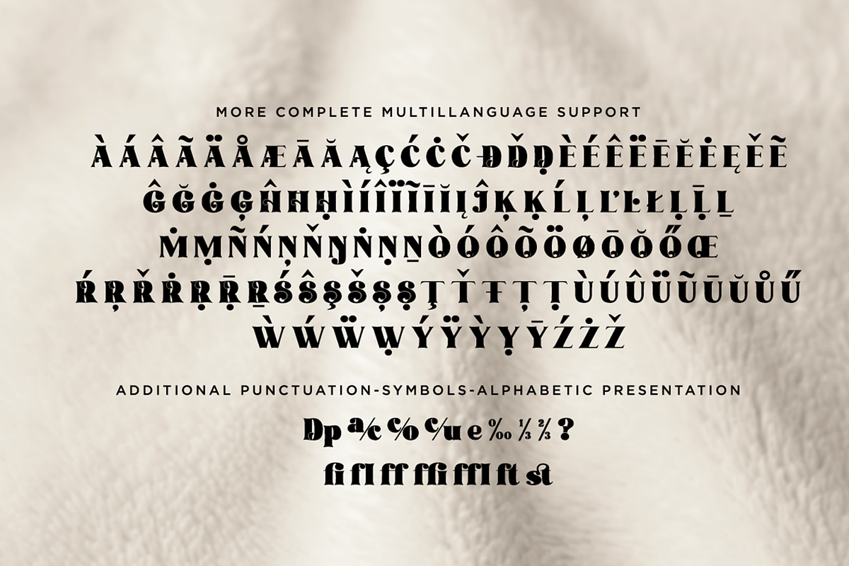 Avocado Sunday - Updated, a Serif Font by Absonstype (Photo 13 of 13)