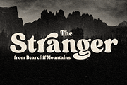 Skillet Serif Typeface, a Serif Font by Fenotype (Thumbnail 5 of 14)