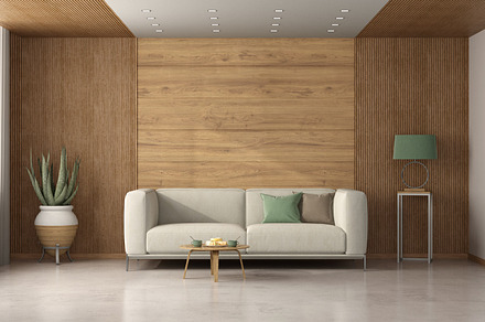 Modern living room with white sofa and wood paneling, an Architecture Photo by Archideaphoto