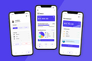Flenxy Digital Financial Coach App, an App Template by trabaskriya (Thumbnail 4 of 5)