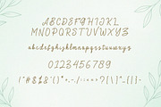 Stylish - Monoline Script Font, a Script Font by NTC Graphic (Thumbnail 6 of 7)