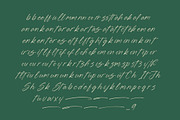 Blynkas Scripte Handwritten Font, a Script Font by Letterena Studios Script (Thumbnail 13 of 15)