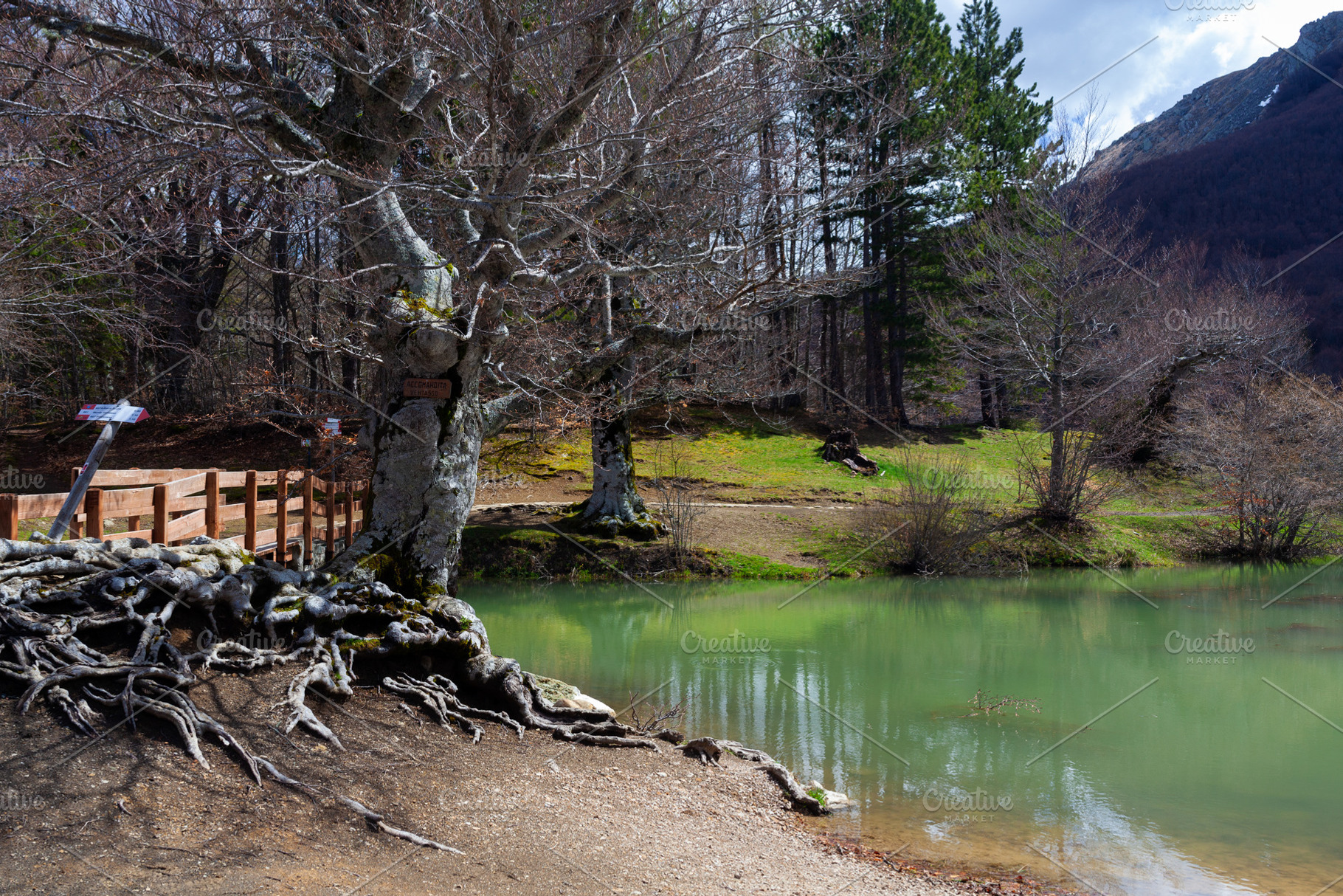 Panorama of the Calamone lake in Reggio Emilia, Italy, a Nature Photo by Bepslabor
