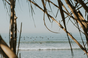 Surfers in the water