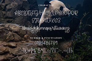 Panda - Handwritting Font